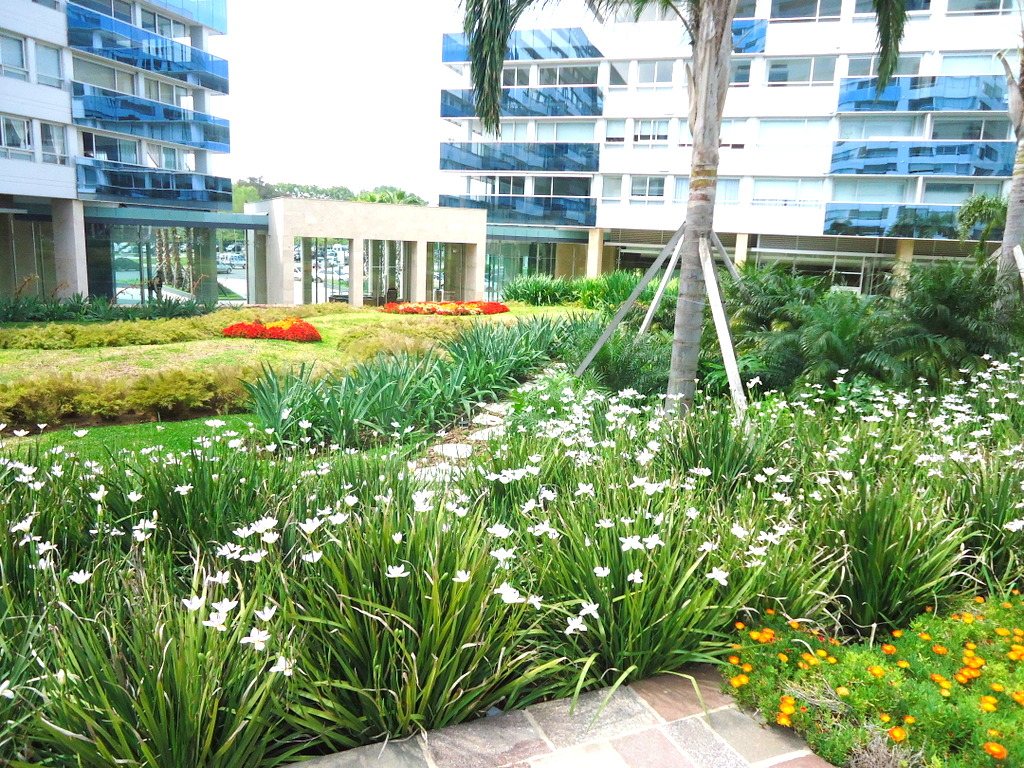 Zencity photo 16